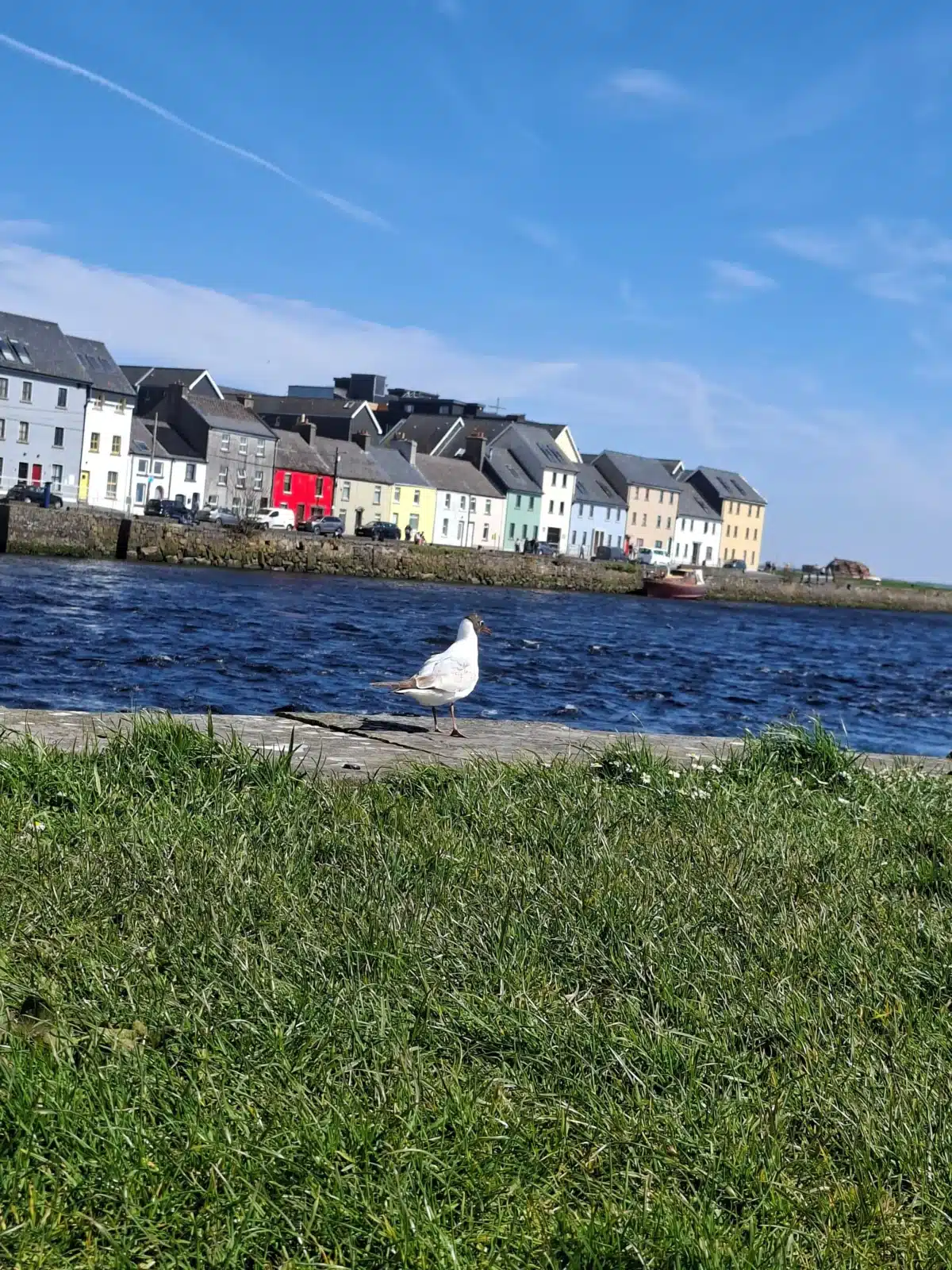 Impression unserer Studentin bei ihrem Auslandspraktikum in Irland