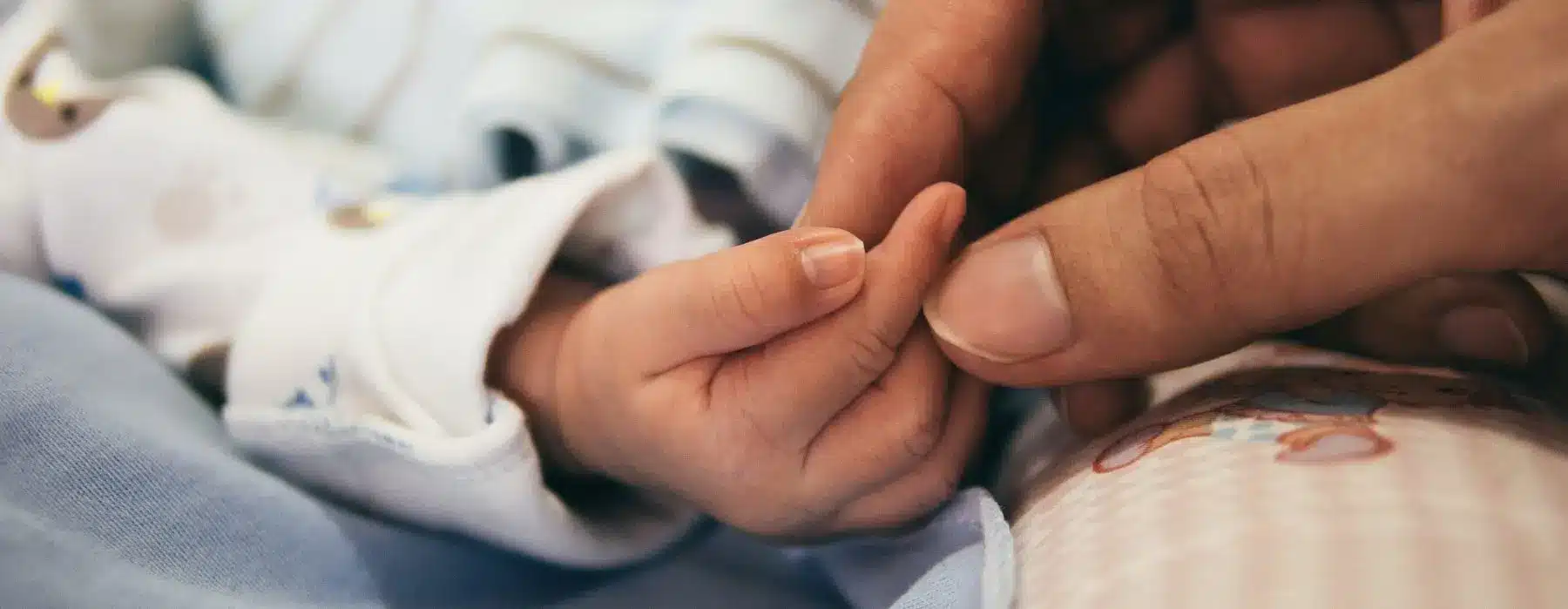 Eine erwachsene Person hält die Hand eines Säuglings