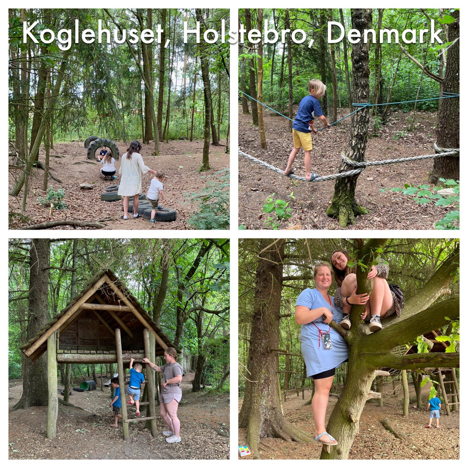 Vier Bilder aus dem Waldspielplatz Koglehuset in Holstebro, Dänemark. Kinder und Erwachsene balancieren auf Seilen, klettern auf Hütten und genießen Aktivitäten in der Natur.